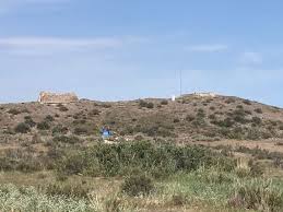 Алаш қорымы