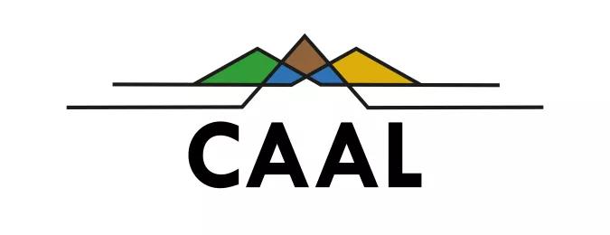 Проект CAAL